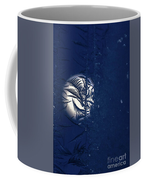 Window Frost Coffee Mug featuring the photograph Blue Moon Frosty Trees by Cheryl Baxter