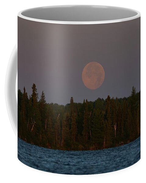 Moon Coffee Mug featuring the photograph Blue Moon over Berry Lake by Steven Clipperton