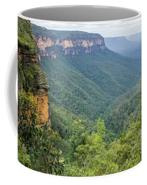 Bush Coffee Mug featuring the photograph Blue Mountains by Werner Padarin