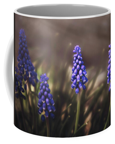 April Coffee Mug featuring the photograph Blue muscari by Eduard Moldoveanu