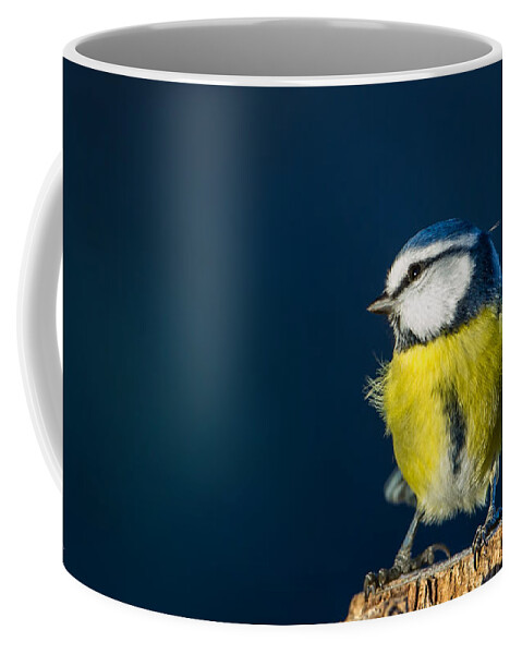 Blue On Blue Coffee Mug featuring the photograph Blue on Blue by Torbjorn Swenelius
