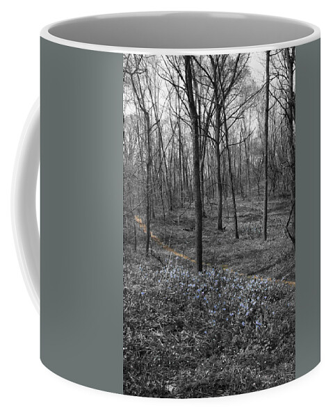 Landscape Coffee Mug featuring the photograph Blue Path by Dylan Punke