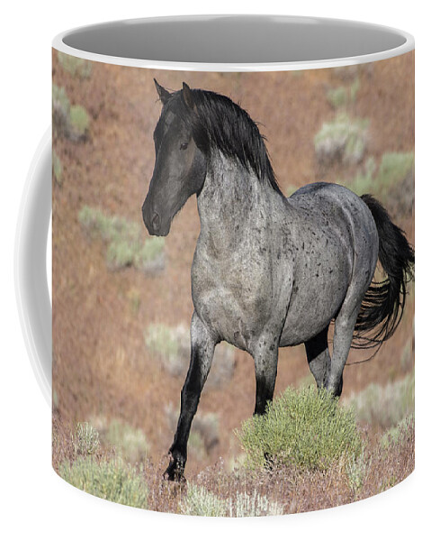 Wild Horse Coffee Mug featuring the photograph Blue surprise by John T Humphrey