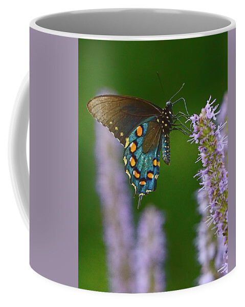 Swallowtail Coffee Mug featuring the photograph Blue Swallowtail by William Jobes