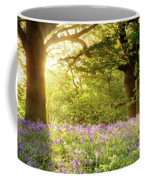 Bluebells Coffee Mug featuring the photograph Bluebell wood with magical morning sunrise by Simon Bratt