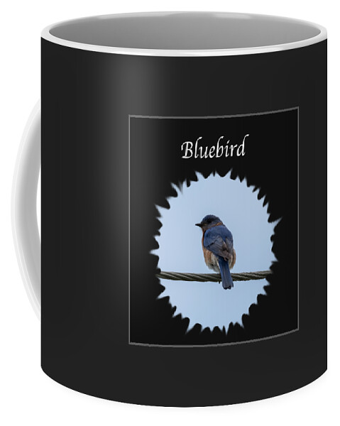 Eastern Bluebird Coffee Mug featuring the photograph Bluebird by Holden The Moment