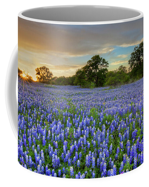 Bluebonnet Pictures Coffee Mug featuring the photograph Bluebonnet Evening of Perfection in the Texas Hill Country 1 by Rob Greebon