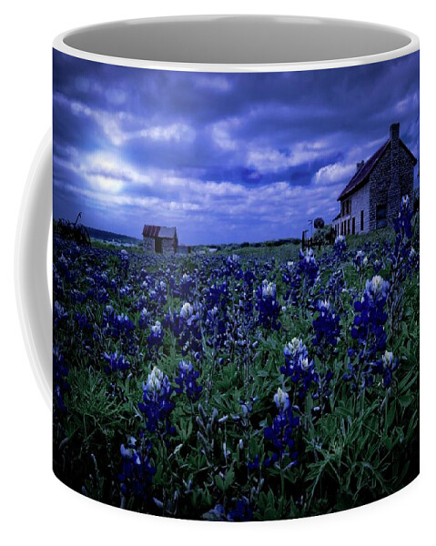 Bluebonnets Coffee Mug featuring the photograph Bluebonnets in the Blue Hour by Linda Unger