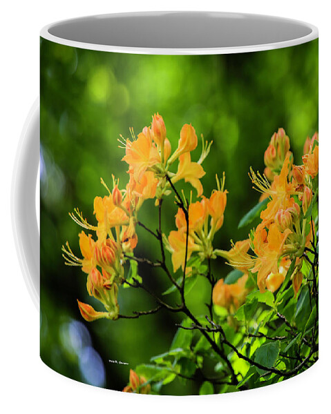 Azaela Coffee Mug featuring the photograph Golden Flame by Dale R Carlson