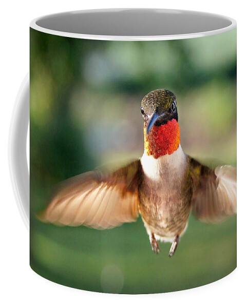 Bird Coffee Mug featuring the photograph Boastful by Bill Pevlor