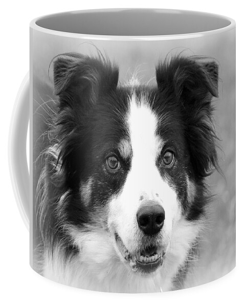 Border Collies Coffee Mug featuring the photograph Boder Collie BW by Sue Long