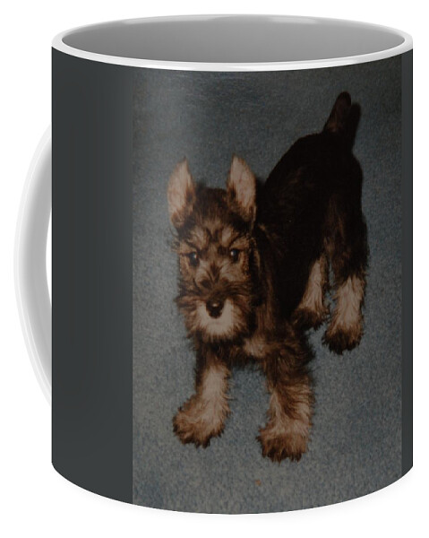 Dog Coffee Mug featuring the photograph Boo Boo by Rob Hans