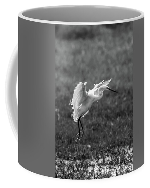 Book_cover Coffee Mug featuring the photograph Book_Cover_Snowy Egret by Ramabhadran Thirupattur