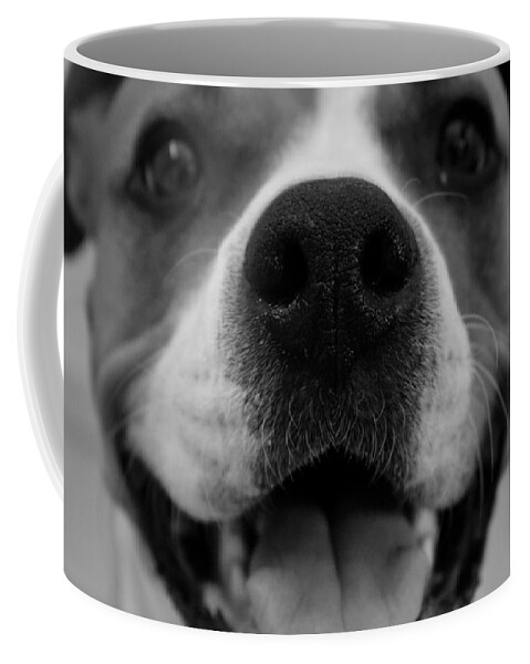 Nose Coffee Mug featuring the photograph Boop by Melisa Elliott