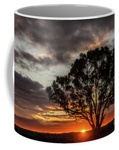 Tree Coffee Mug featuring the photograph Boorowa Sunset by Werner Padarin