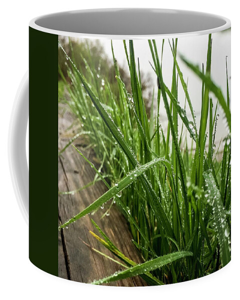 Grass Coffee Mug featuring the photograph Border by Terri Hart-Ellis