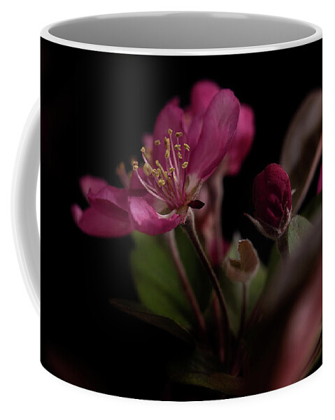 Flower Coffee Mug featuring the photograph Born Again by Mike Eingle