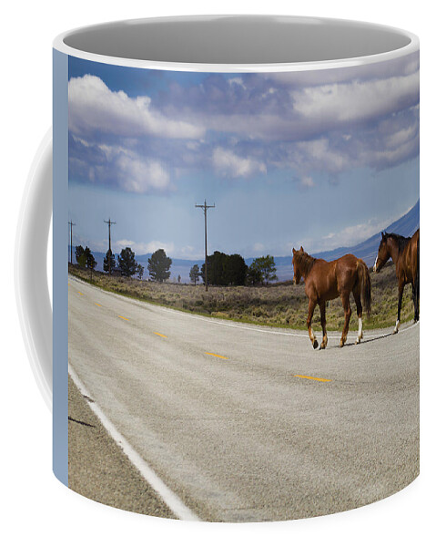 Horse Coffee Mug featuring the photograph Born to be Wild by Terry Fiala