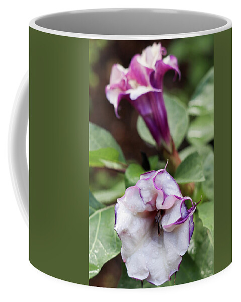 Flower Coffee Mug featuring the photograph Botanical Attraction by Mary Anne Delgado