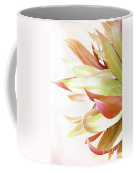 Plant Coffee Mug featuring the photograph Botanical Dance by Becqi Sherman
