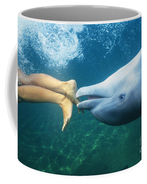 Air Coffee Mug featuring the photograph Bottlenose Dolphin by Bob Abraham - Printscapes