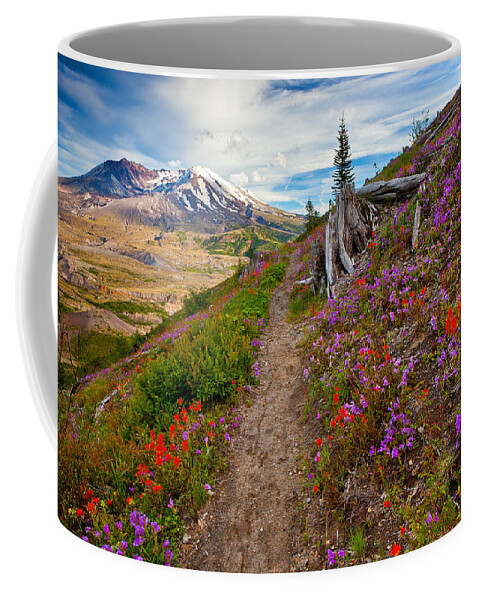 Mount Saint Helens Coffee Mug featuring the photograph Boundary Trail by Darren White
