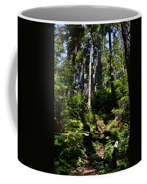 Trail Coffee Mug featuring the photograph Breadline Bluff Trail by Cathy Mahnke