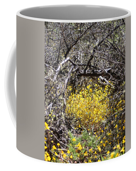 Break Coffee Mug featuring the photograph Break on through by Marie Neder