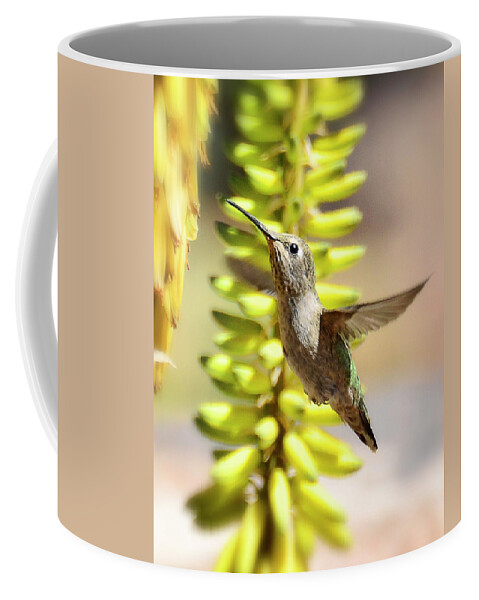 Hummingbird Coffee Mug featuring the photograph Breakfast Time Hummer Style by Saija Lehtonen