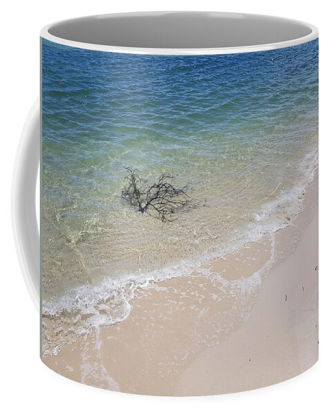 Bribie Island Coffee Mug featuring the photograph Bribie Branches 2 by Cassy Allsworth