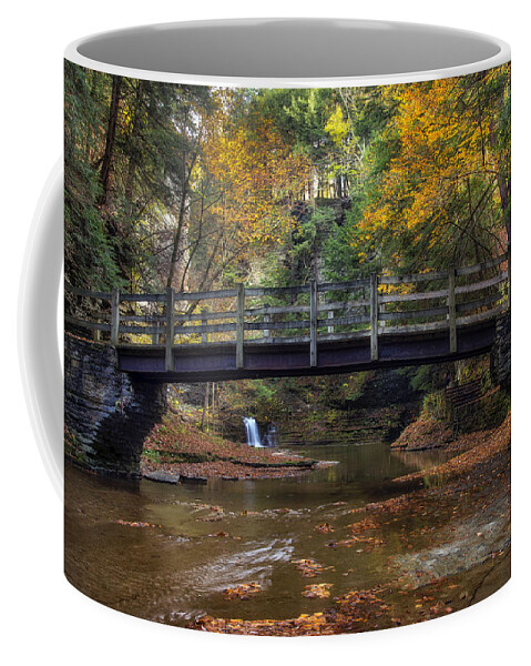 Buttermilk Falls State Park Coffee Mug featuring the photograph Bridge over Buttermilk Creek by Mark Papke