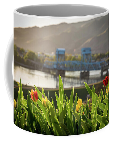 Tulips Coffee Mug featuring the photograph Bridge through the Tulips by Brad Stinson