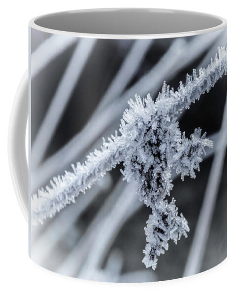 Ice Coffee Mug featuring the photograph Briefly Beautiful by Nick Bywater