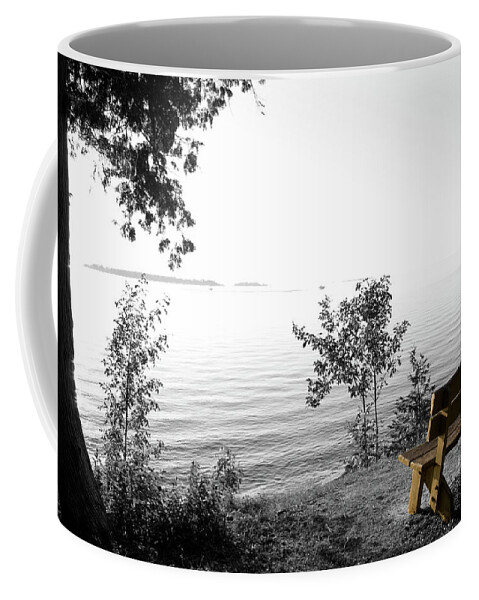 Bright Bay Bench Coffee Mug featuring the photograph Bright Bay Bench by Dylan Punke