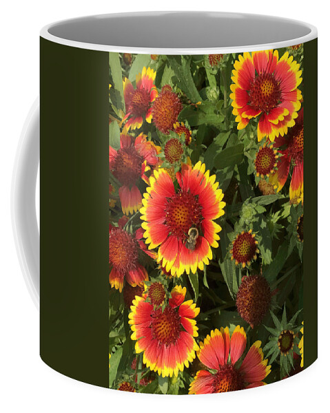 Gaillardia Coffee Mug featuring the photograph Bright Daisy-Like by Arlene Carmel