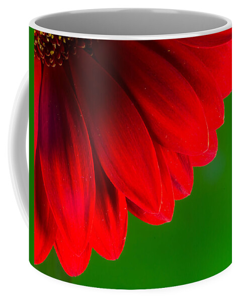 Red Chrysanthemum Flower Coffee Mug featuring the photograph Bright Red Chrysanthemum Flower Petals and Stamen by John Williams