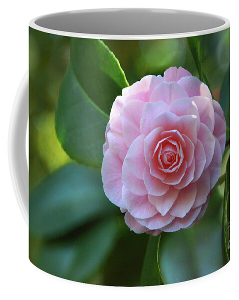 Flower Coffee Mug featuring the photograph Bright Spot by Dan Holm