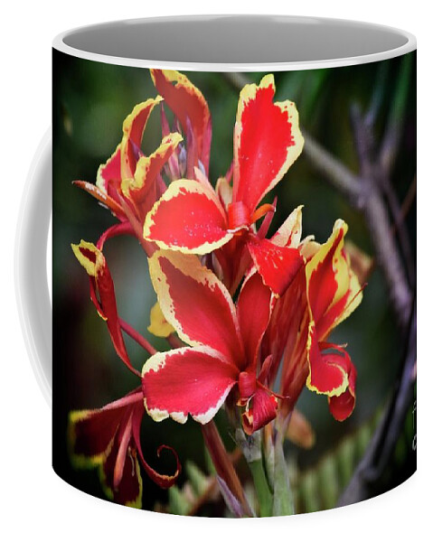 Bright Spot In My Day Coffee Mug featuring the photograph Bright Spot in My Day by Mary Machare