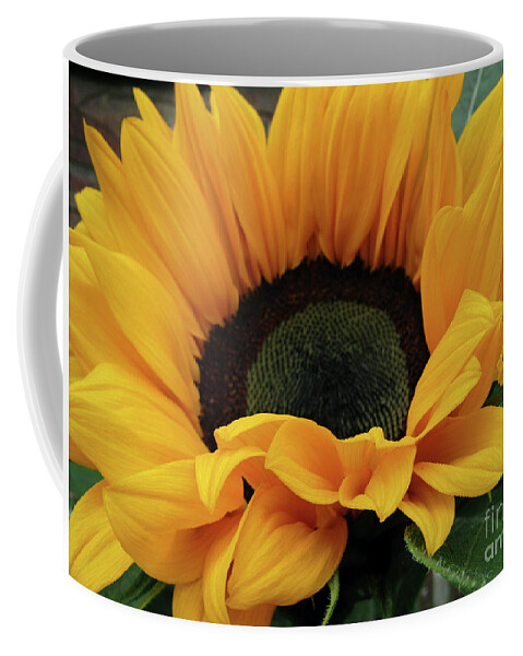 Sunflower Coffee Mug featuring the photograph Bright Sun 5 by Kim Tran
