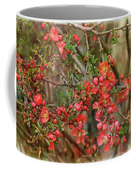 Japanese Quince Coffee Mug featuring the photograph Brighten my garden by Yumi Johnson