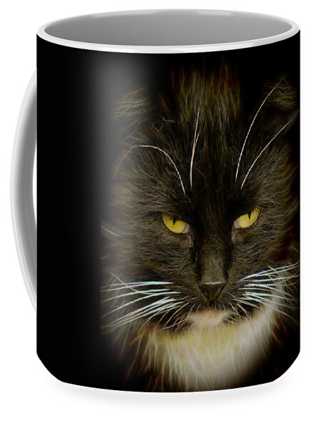 #house#world#cat#brilliant#concept#abstract#art#digital#hunter#colours#yard#fine#light#portrait#fine# Coffee Mug featuring the photograph Brilliant Cat... by Aleksandrs Drozdovs