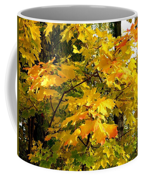 #brilliantmapleleaves Coffee Mug featuring the photograph Brilliant Maple Leaves by Will Borden