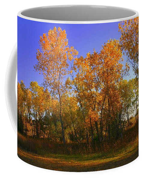 Landscape Coffee Mug featuring the photograph Brilliant Autumn Day in Oklahoma by Toni Hopper