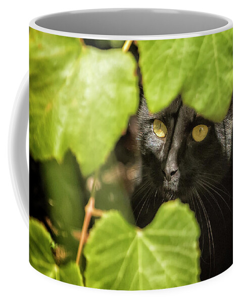 Cat Coffee Mug featuring the photograph Brita's Cat by Belinda Greb