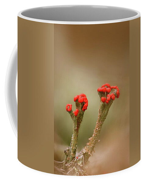 Lichen Coffee Mug featuring the photograph British Soldiers by Robert Charity