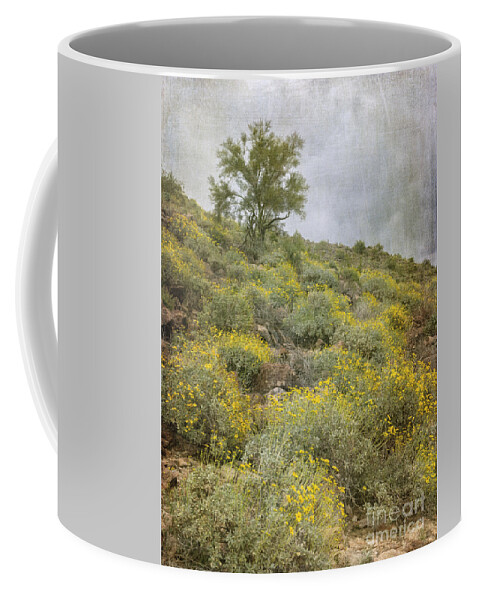 Brittle Bush Coffee Mug featuring the photograph Brittlebush Wildflowers by Tamara Becker