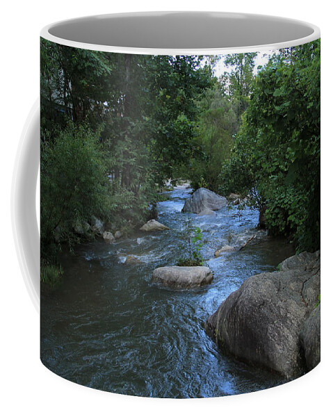 Broad River Coffee Mug featuring the photograph Broad River by Karen Ruhl