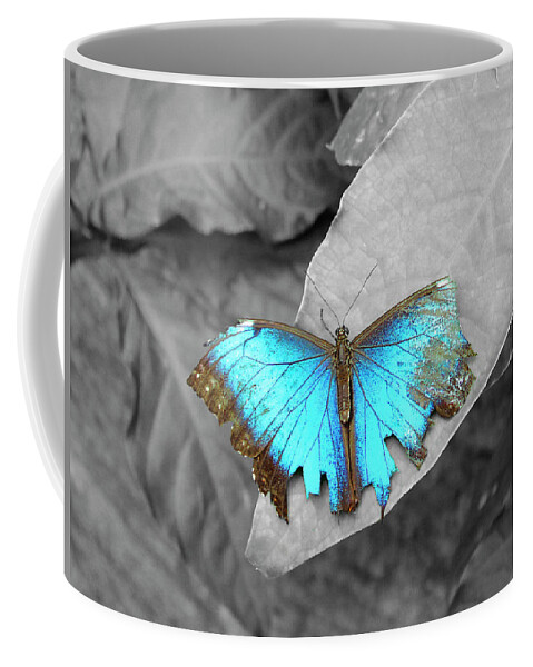 Animals Coffee Mug featuring the photograph Broken Dream by Steven Myers