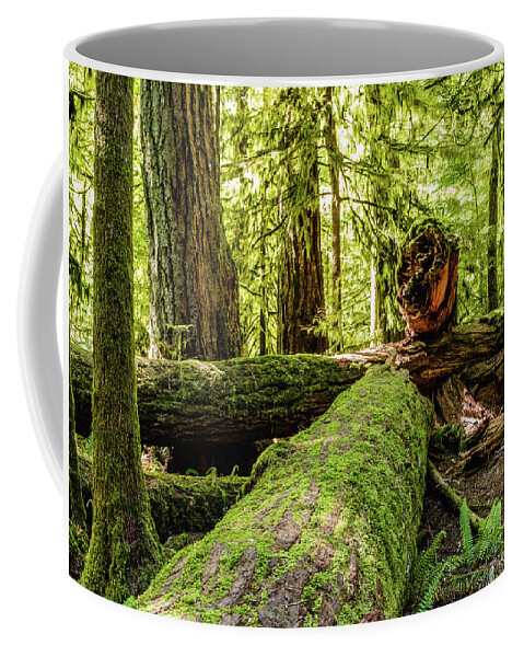 Landscapes Coffee Mug featuring the photograph Broken Tree by Claude Dalley