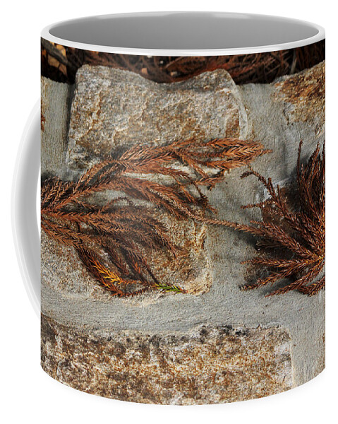 Flower Coffee Mug featuring the photograph Bronze Symmetry by Deborah Crew-Johnson